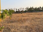 2340 Sq.Ft. Plot in Khambale