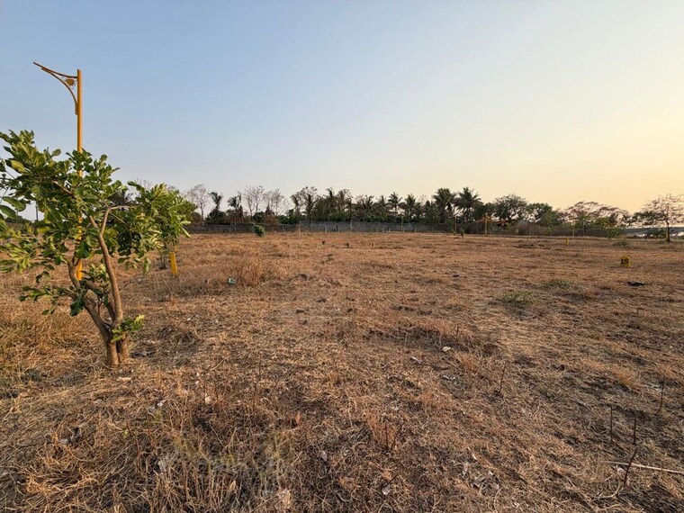 undefined, khambale  2340 Sq.Ft. Plot In Khambale Nashik 10474635