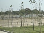 237 Sq.Yd. Plot in ACE Acreville