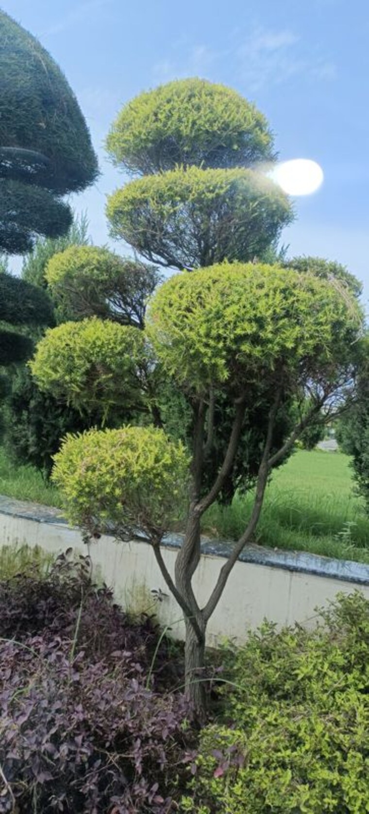 Garden, kailasha-enclave  1500 Sq.Ft. Plot In Sultanpur Road Lucknow 10474822