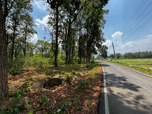 Plot Area in  Plot at Pondha – for Sale