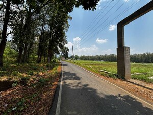  Plot at Pondha – for Sale
