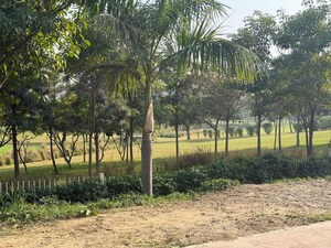 4 BHK Apartment – Exterior View View at Godrej Golf Link Villas, Sector 27 Yamuna Expressway - for Sale