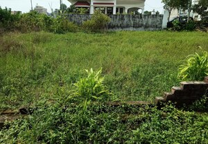Plot Area in  Plot at Jhajra – for Sale