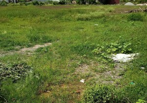 Plot Area in  Plot at Jhajra – for Sale
