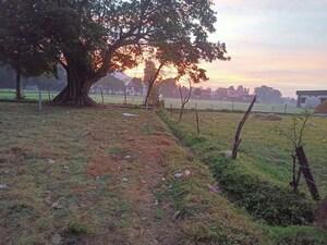  Plot For Sale in Jhajra