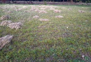 Plot Area in  Plot at Jhajra – for Sale