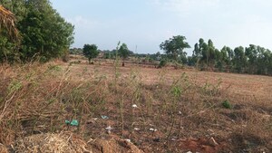 Plot Area in  Plot at Devanahalli – for Sale