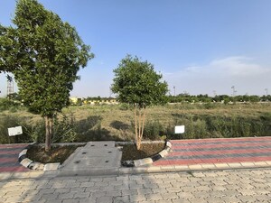 Plot Area in  Plot at KSD Yash Vihar, Pataudi – for Sale