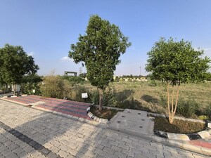 Plot Area in  Plot at KSD Yash Vihar, Pataudi – for Sale