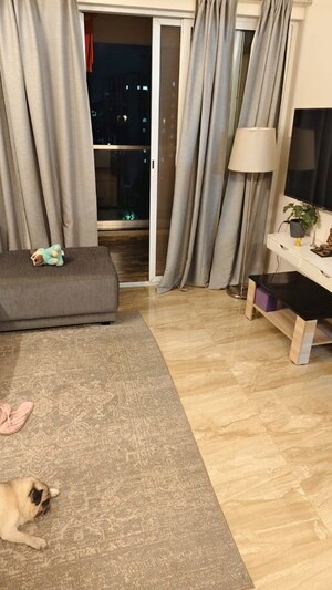 Living Room in 2 BHK Apartment at VTP Solitaire, Baner – for Rent
