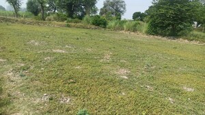  Plot For Sale in Barwa