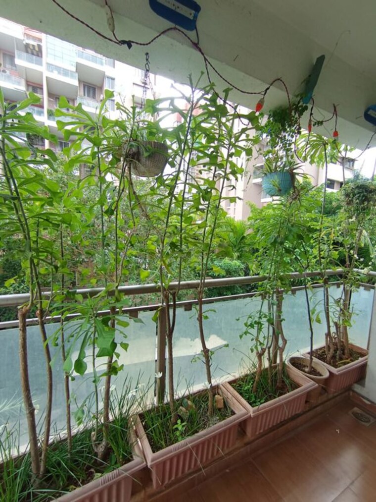 Balcony, kbd-aurelia 3.5 Bedroom 1700 Sq.Ft. Apartment In Baner Pune 10476770