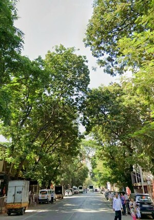  Shop – Garden View at Vardhman Nagar - for Rent