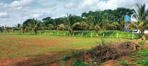 Plot Area in  Plot at Gejjagadahalli – for Sale