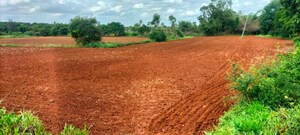 Plot Area in  Plot at Gejjagadahalli – for Sale