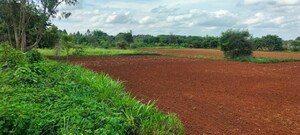  Plot For Sale in Gejjagadahalli