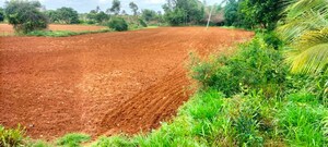 Plot Area in  Plot at Gejjagadahalli – for Sale