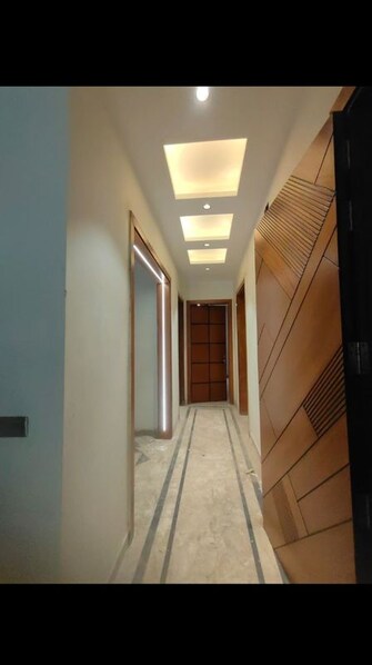 5 BHK 3750 Sq.Ft. Builder Floor in Emaar Palm Gardens