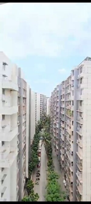 2.5 BHK Apartment For Rent in Mohite Mrugank, Chembur