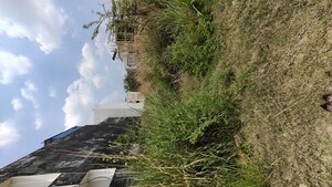  Plot For Sale in Dayal Friends Colony, Amar Shaheed Path