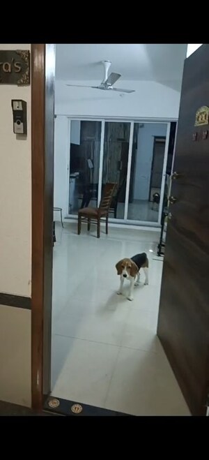 1 BHK Apartment For Sale in Dimple 19 North, Kandivali West