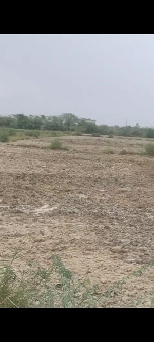 Plot Area in  Plot at Kishor Pura – for Sale