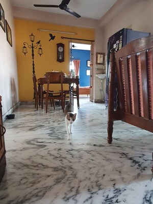 Parking in 3 BHK Apartment at Sreepally – for Sale