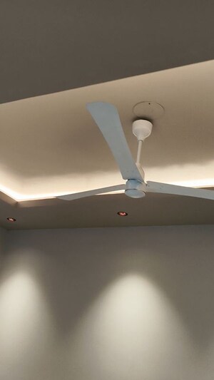 3 BHK Builder Floor For Rent in Sector 40