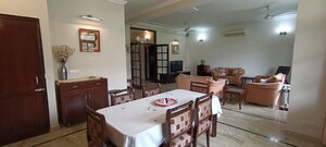 3 BHK Builder Floor For Rent in Saket