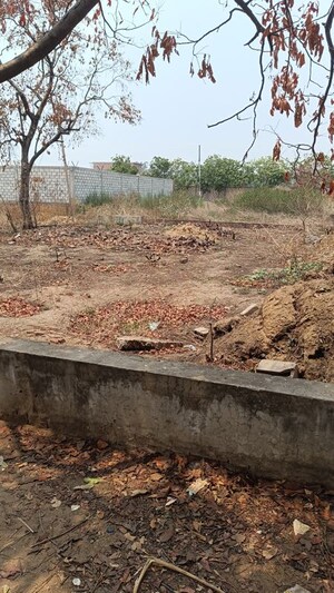 Plot Area in  Land at Jhamat – for Sale
