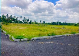 Plot Area in  Land at Robertson Pet – for Sale