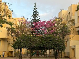3 BHK Apartment For Rent in Brigade Courtyard, Jalahalli