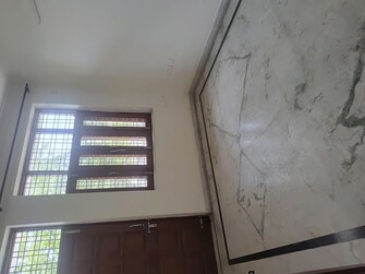 3 BHK Builder Floor For Rent in RWA Apartments Sector 50 in Sector 50, Noida