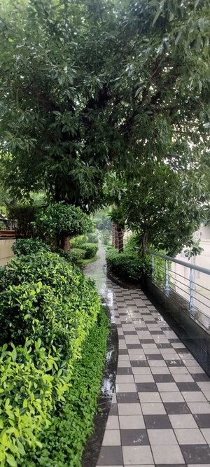  Office Space – Garden View at Okaya Center, Sector 62 - for Rent