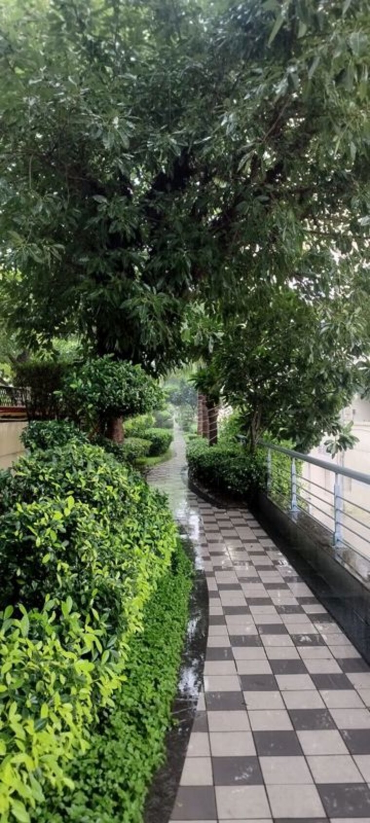 Garden, okaya-center Commercial Office Space 2500 Sq.Ft. In Sector 62 Noida 10479528