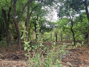  Plot For Sale in Kharghar