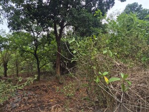  Plot – Garden View at Kharghar - for Sale
