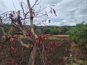Plot Area in  Plot at Kharghar – for Sale