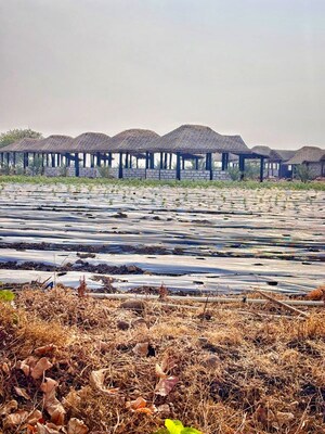 Plot Area in  Land at Narayankhed – for Sale