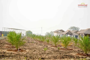  Land For Sale in Narayankhed
