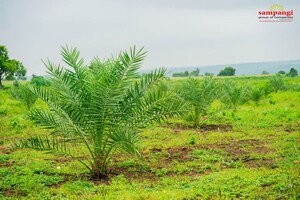  Land – Garden View at Narayankhed - for Sale