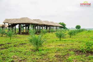  Land – Exterior View View at Narayankhed - for Sale