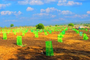  Land – Garden View at Narayankhed - for Sale