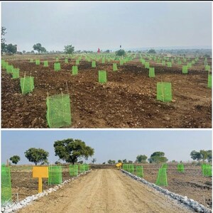 Plot Area in  Land at Narayankhed – for Sale