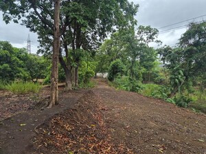  Plot For Sale in Kharghar