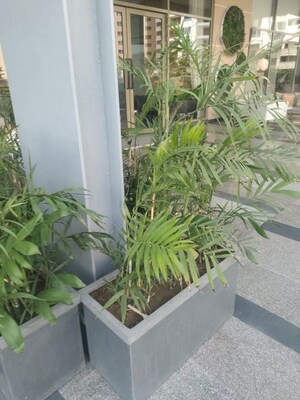 3 BHK Apartment – Exterior View View at BPTP Amstoria, Sector 102 - for Sale