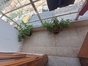 Balcony in 2 BHK Builder Floor at Chattarpur – for Rent