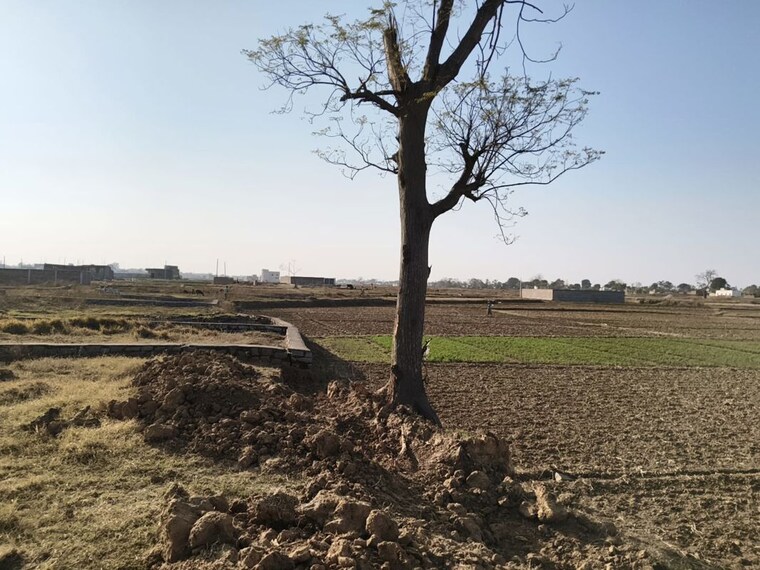 undefined, namkum  4356 Sq.Ft. Plot In Namkum Ranchi 10480241