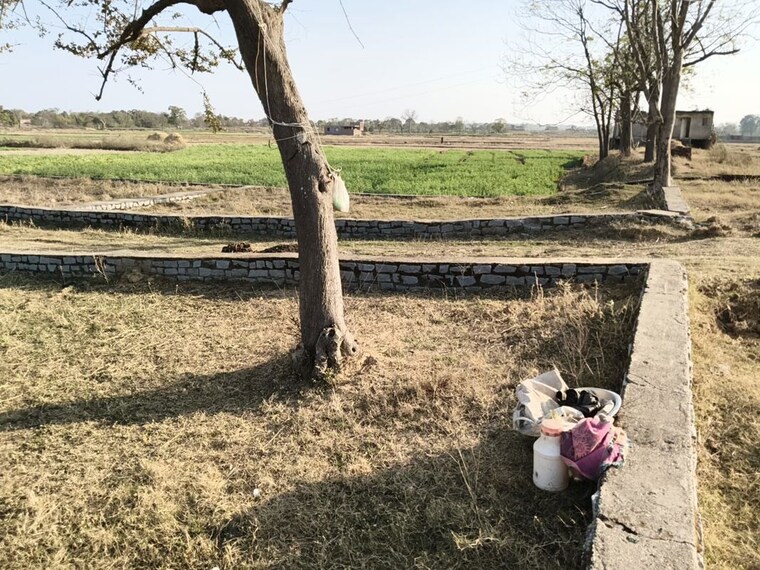 undefined, namkum  4356 Sq.Ft. Plot In Namkum Ranchi 10480241